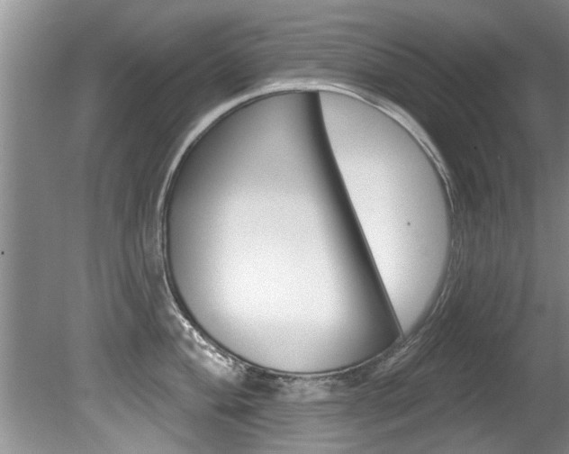 X0000080791004200612151053
