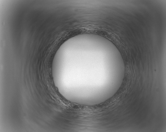 X0000080791009200612151052