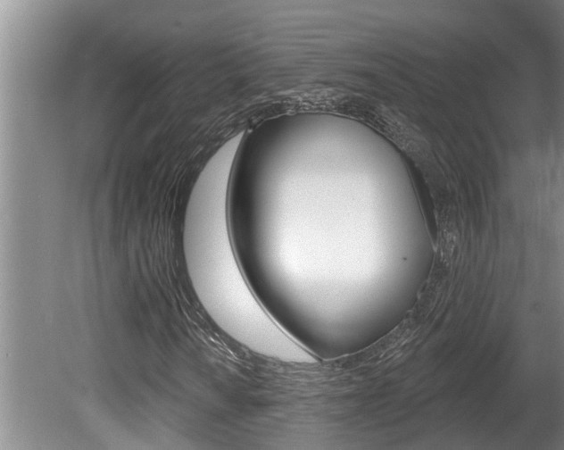 X0000080791010200612151052