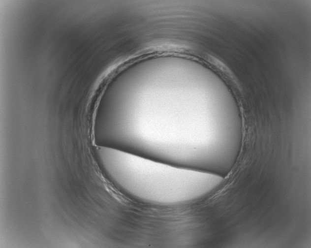 X0000080791027200612151052