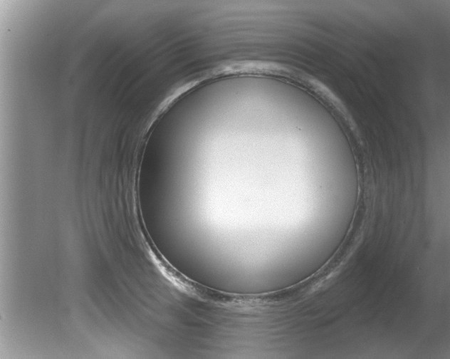 X0000080791041200612151053