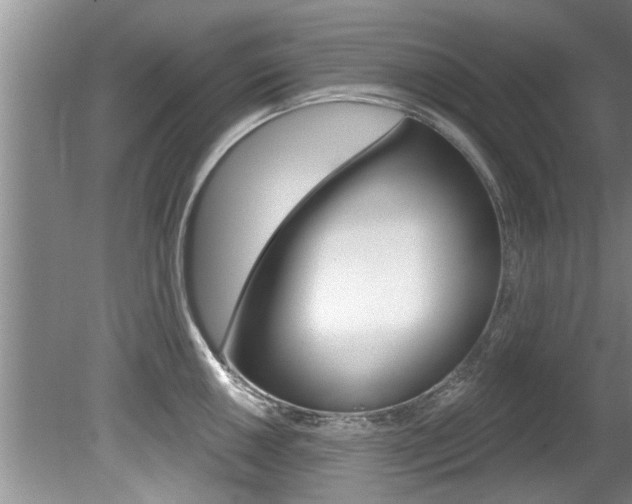 X0000080791050200612151053