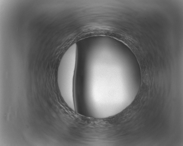X0000080791061200612151052