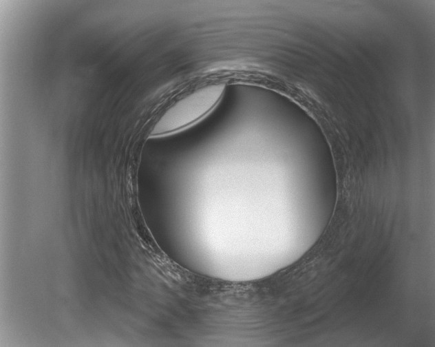 X0000080791062200612151052
