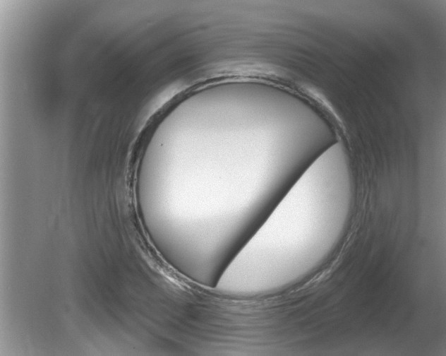 X0000080791071200612151052