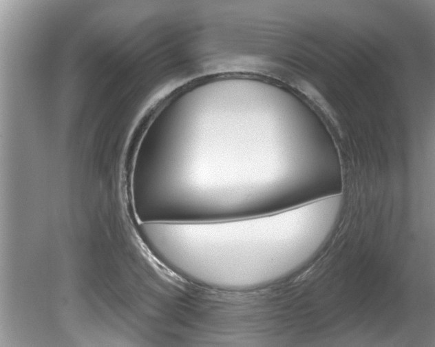 X0000080791072200612151052