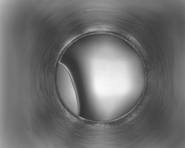 X0000080791081200612151052