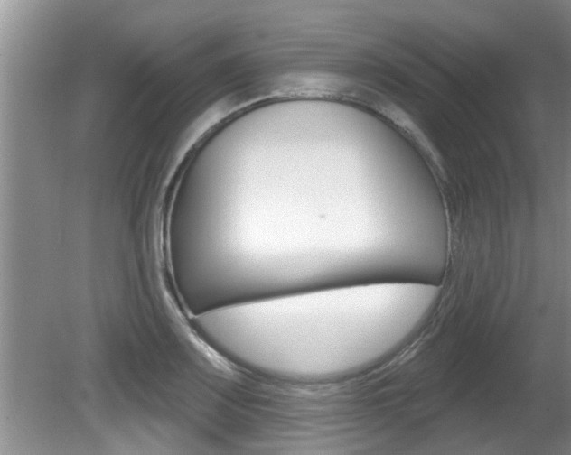 X0000080791083200612151052