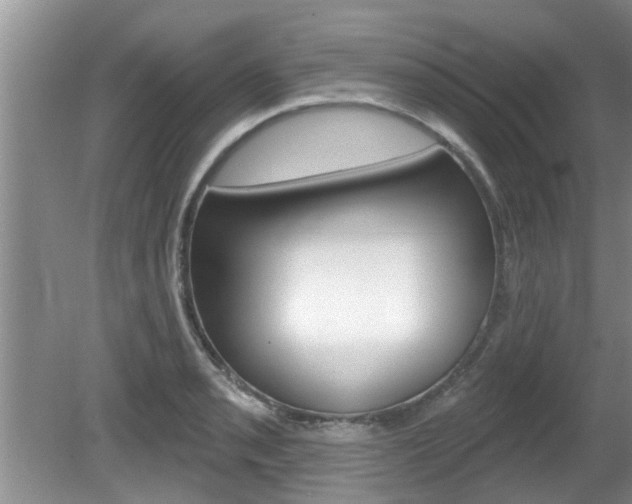 X0000080791085200612151051