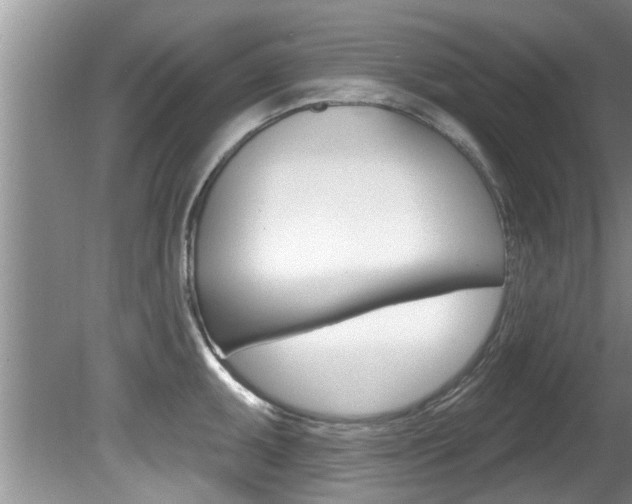 X0000080791095200612151051