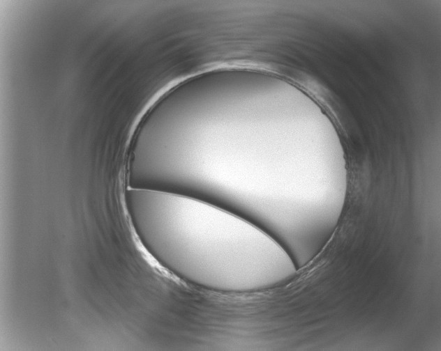 X0000080791100200612151051