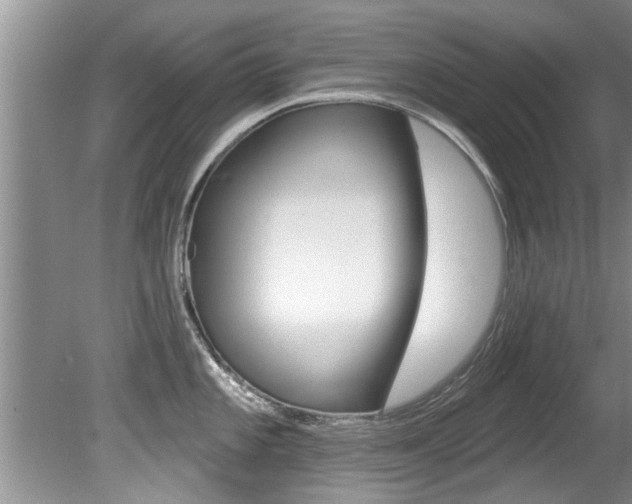 X0000080791101200612151051