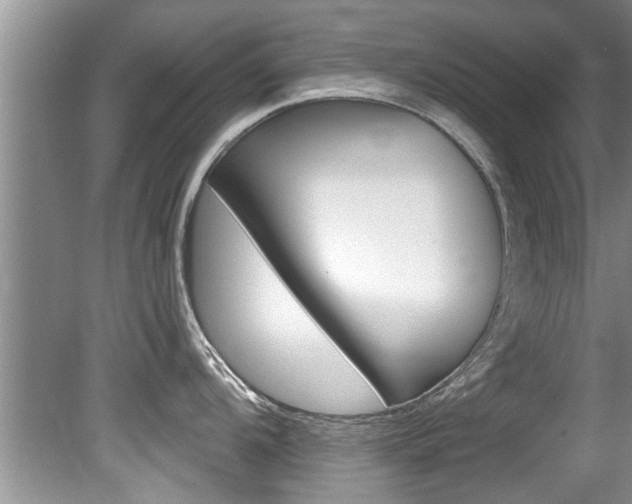 X0000080791104200612151051