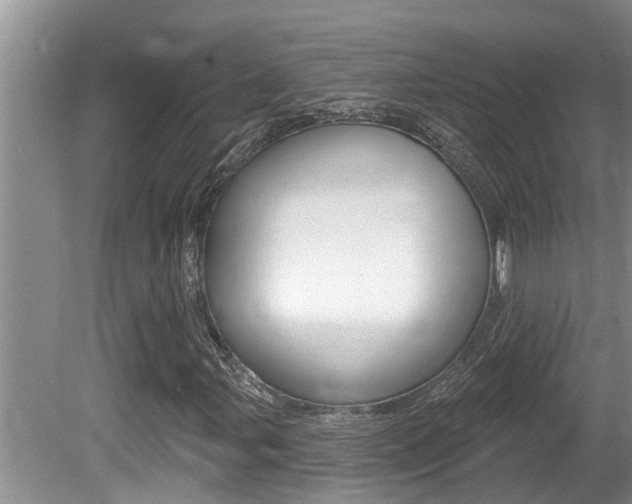 X0000080791107200612151050
