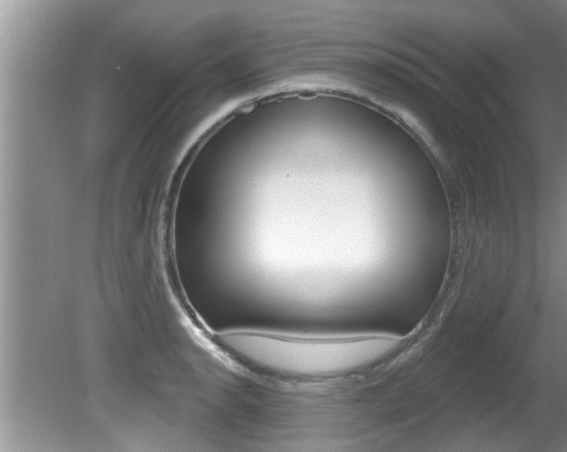 X0000080791134200612151051