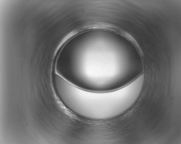 X0000080791138200612151051