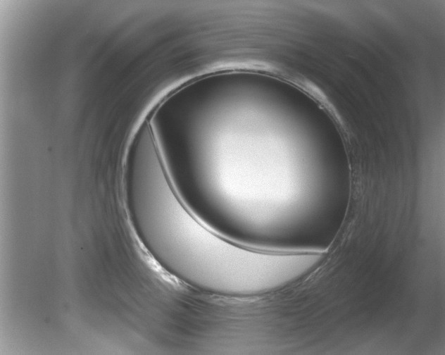 X0000080791140200612151051