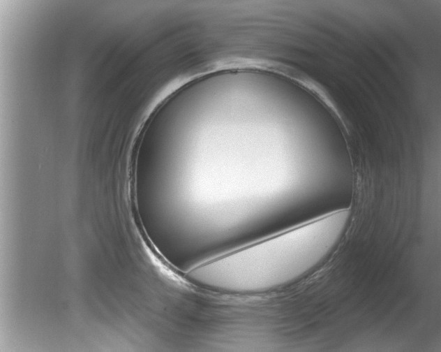 X0000080791143200612151051