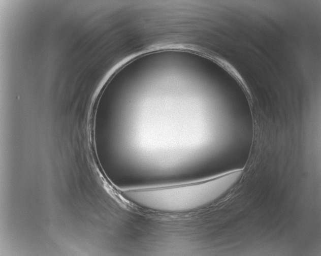 X0000080791148200612151051
