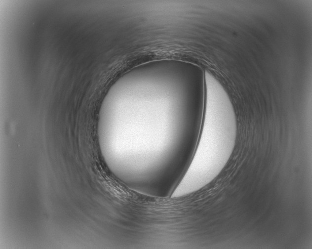 X0000080791153200612151050