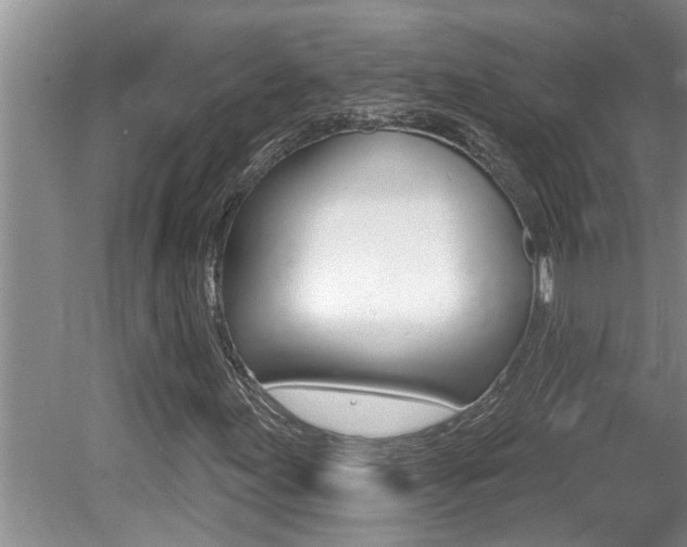 X0000080791155200612151050