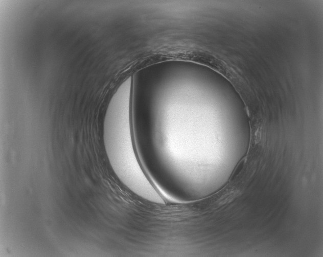 X0000080791156200612151050