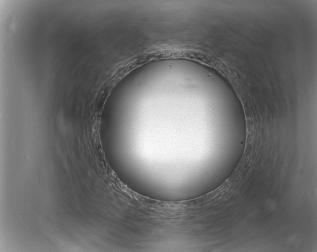 X0000080791157200612151050