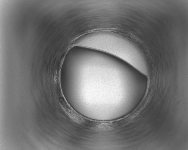 X0000080791161200612151050