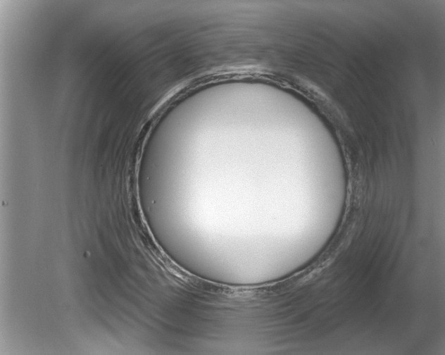 X0000080791162200612151050