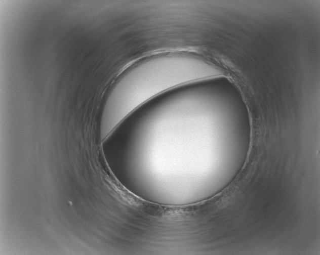 X0000080791169200612151050