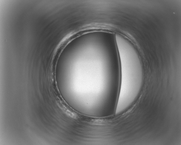 X0000080791172200612151050