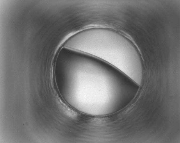 X0000080791179200612151050