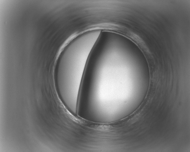 X0000080791180200612151050