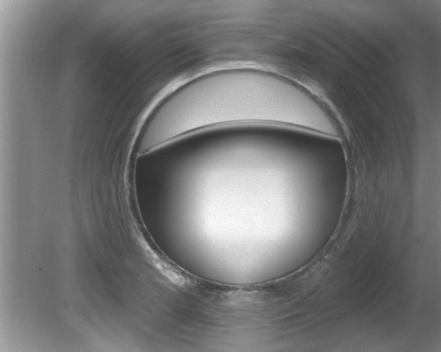X0000080791181200612151050