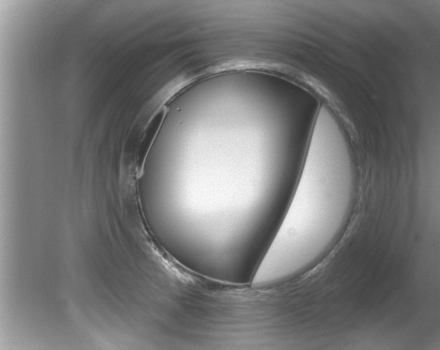 X0000080791185200612151050