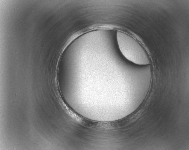 X0000080791194200612151050