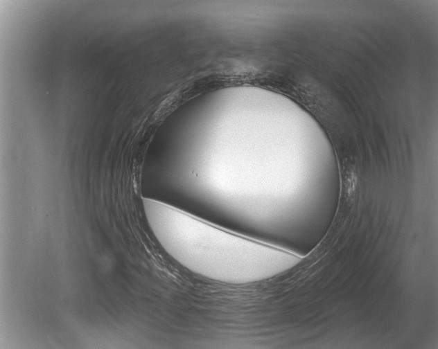 X0000080791204200612151049
