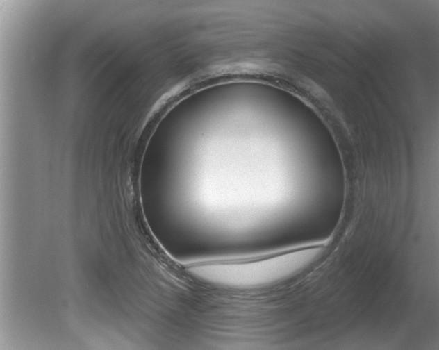 X0000080791218200612151049