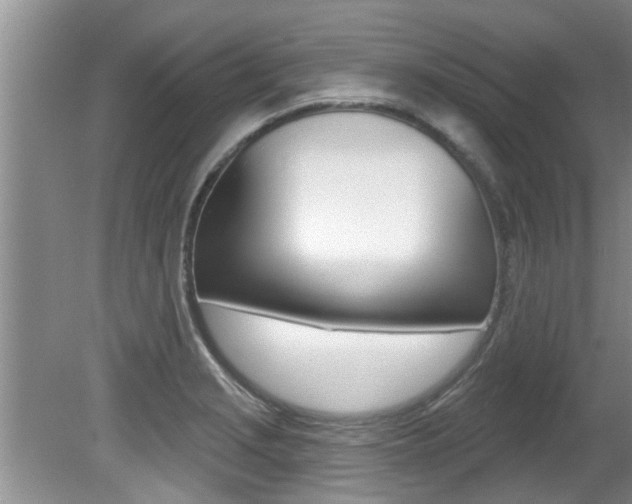 X0000080791229200612151049