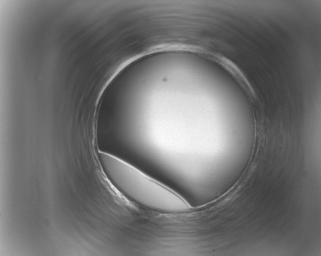X0000080791244200612151049