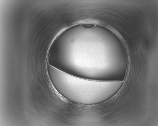 X0000080791248200612151050