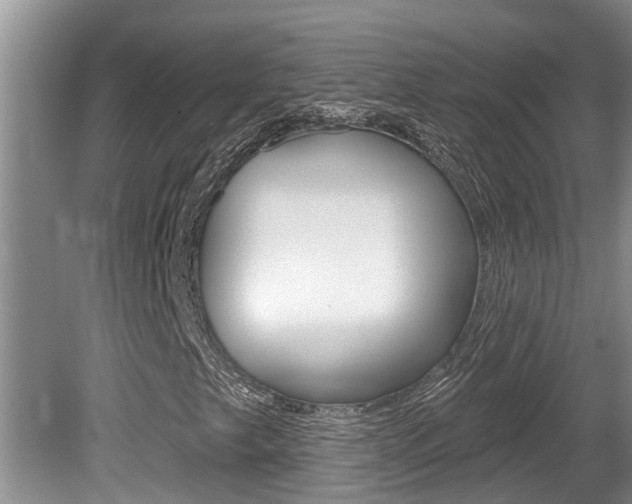 X0000080791249200612151049