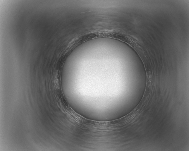 X0000080791252200612151049