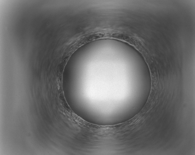 X0000080791253200612151049