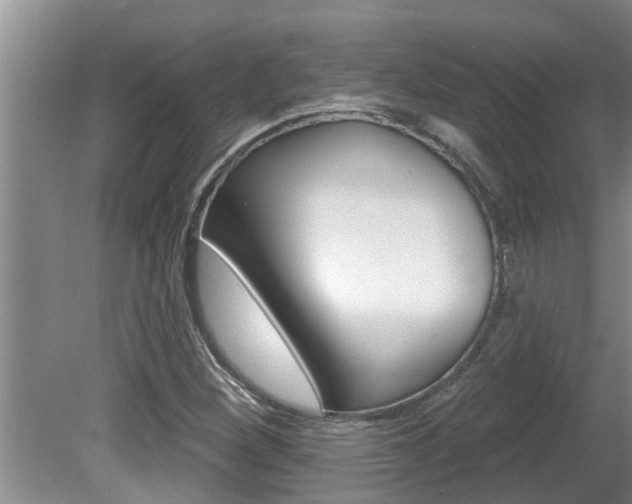 X0000080791260200612151049