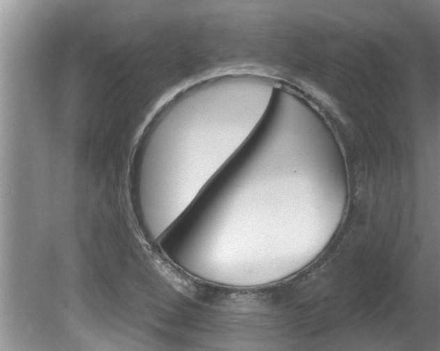 X0000080791264200612151048