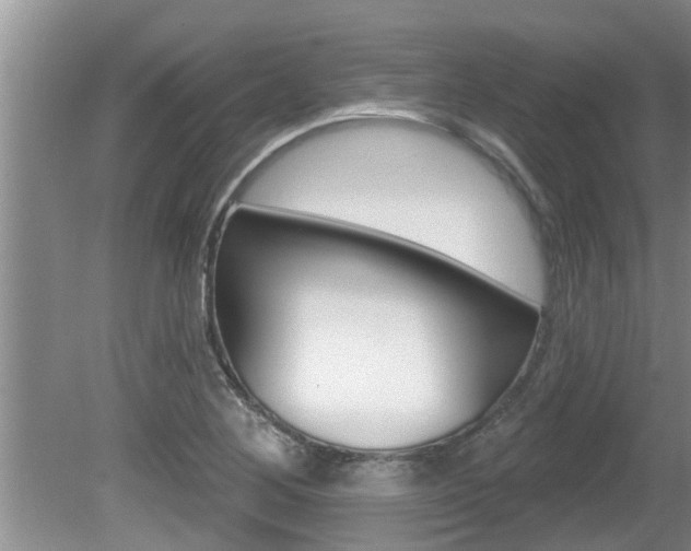 X0000080791268200612151048