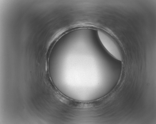 X0000080791269200612151048