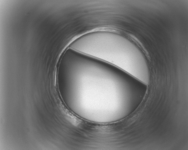 X0000080791276200612151048