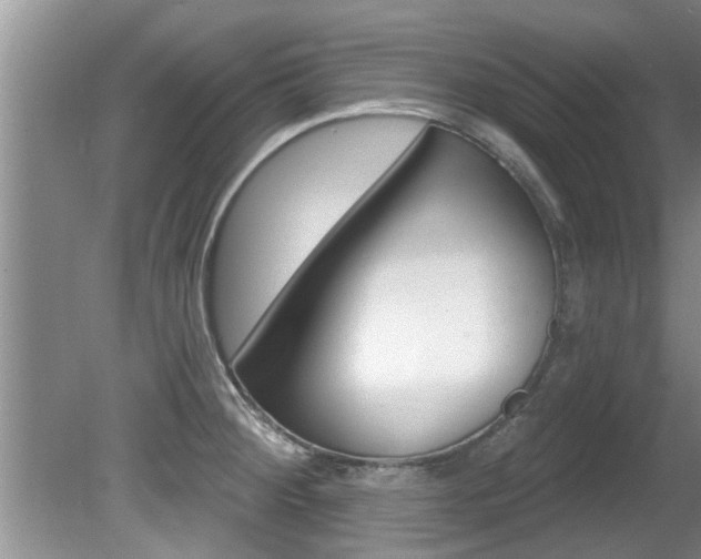 X0000080791284200612151048